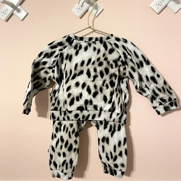 MOLO Sweatshirt & Sweatpants Sweat suit Snow Leopard Size 12 months 80cm - Picture 2 of 6